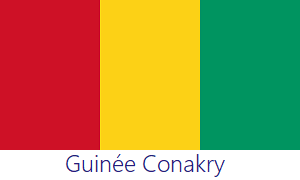 Drapeau Guinée